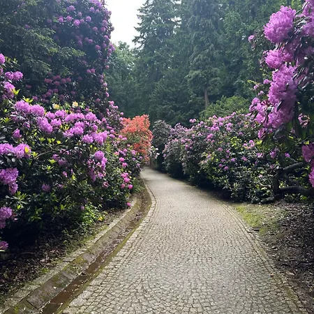 Apartment Sukces Przy Deptaku *