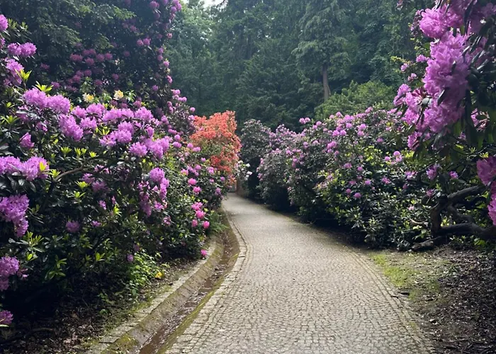 Apartment Sukces Przy Deptaku *